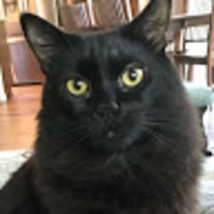 Meet your Posher, Michele